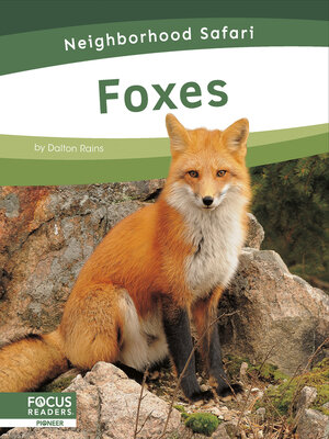 cover image of Foxes